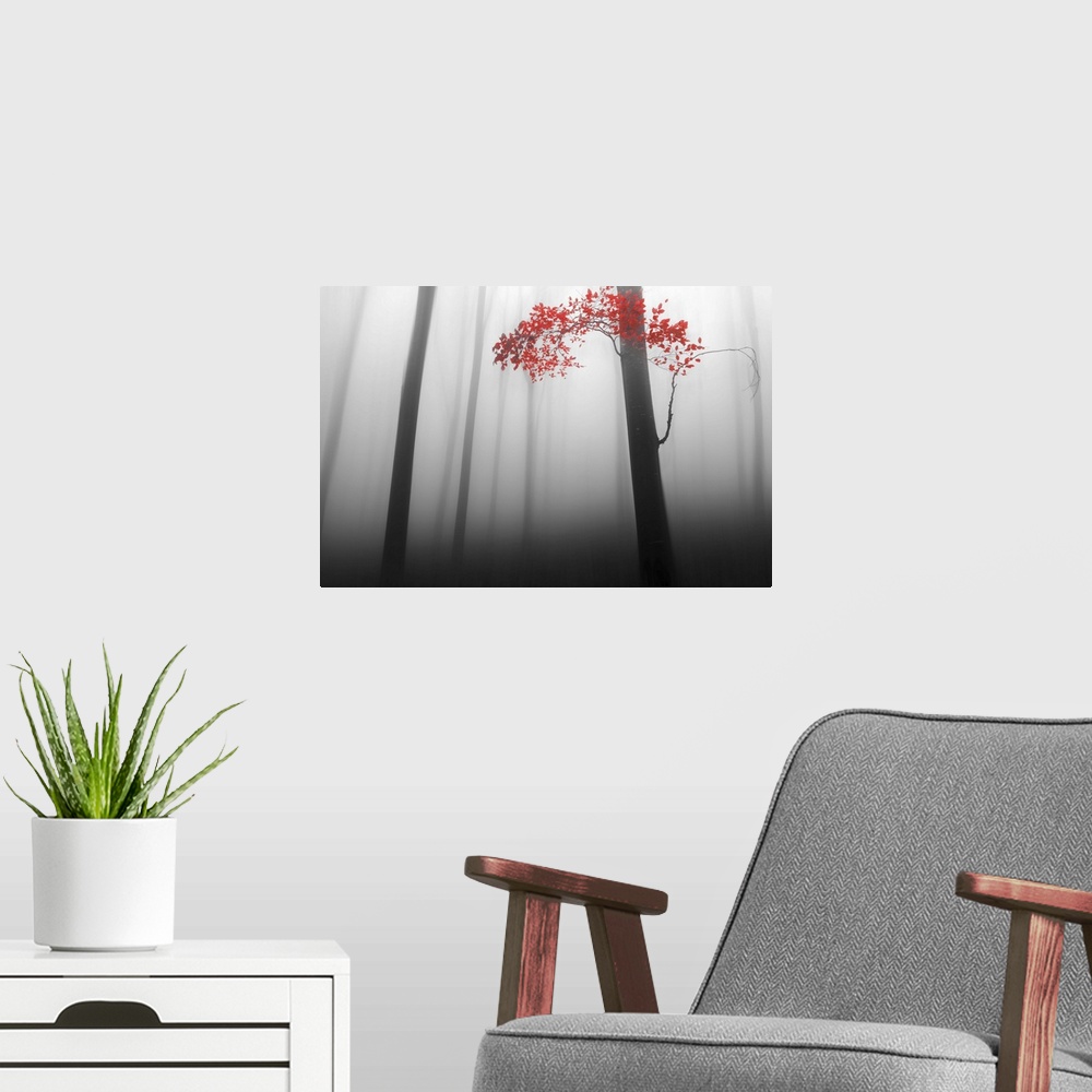 A modern room featuring A forest with dense fog and thin dark trees, with only one branch of vivid red leaves.