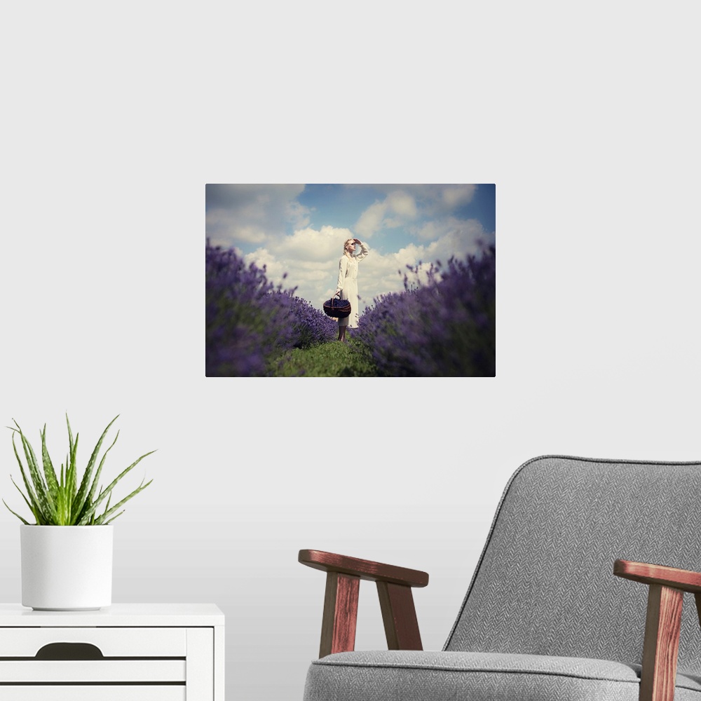 A modern room featuring Lavender Field