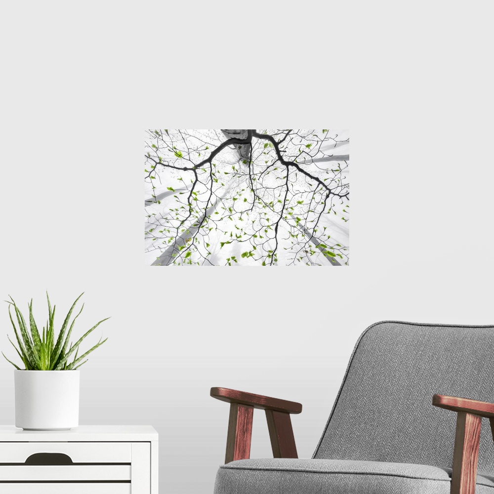 A modern room featuring Leaves Of Spring