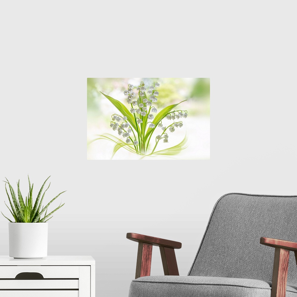 A modern room featuring Lily Of The Valley