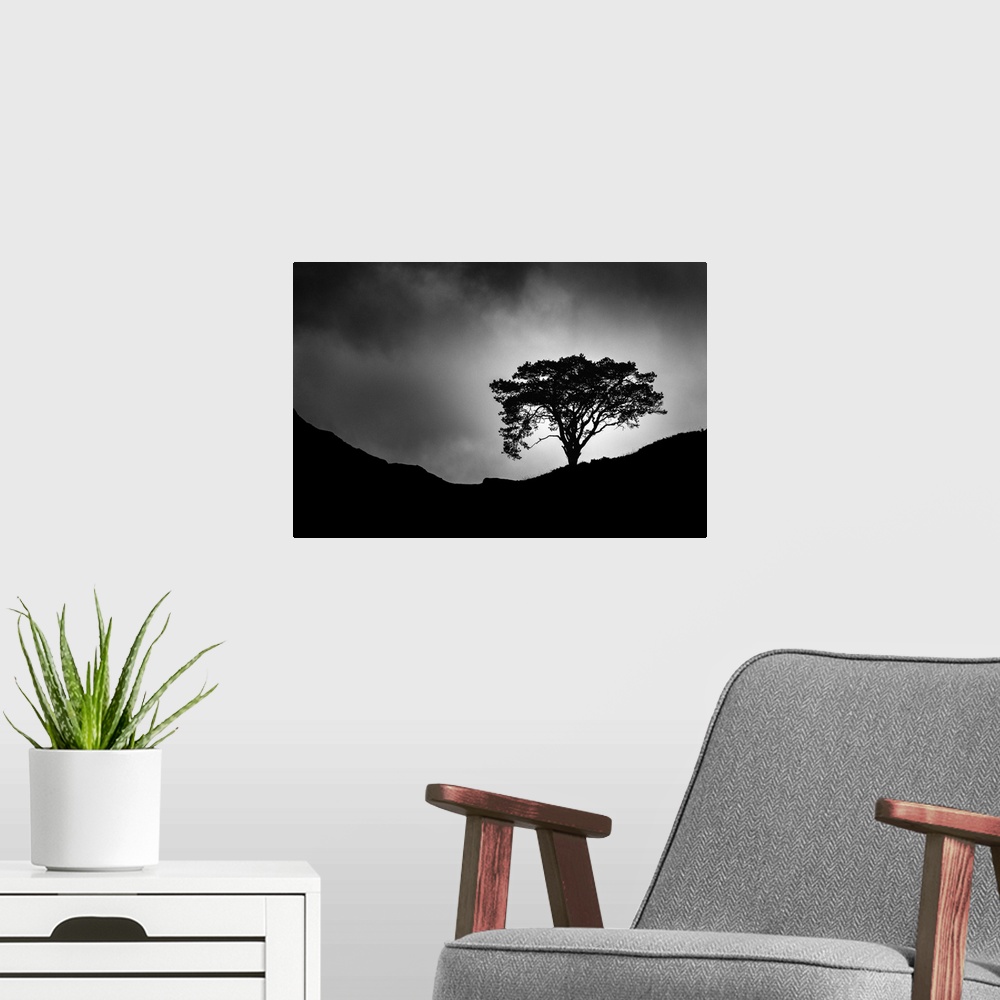 A modern room featuring Lone Tree