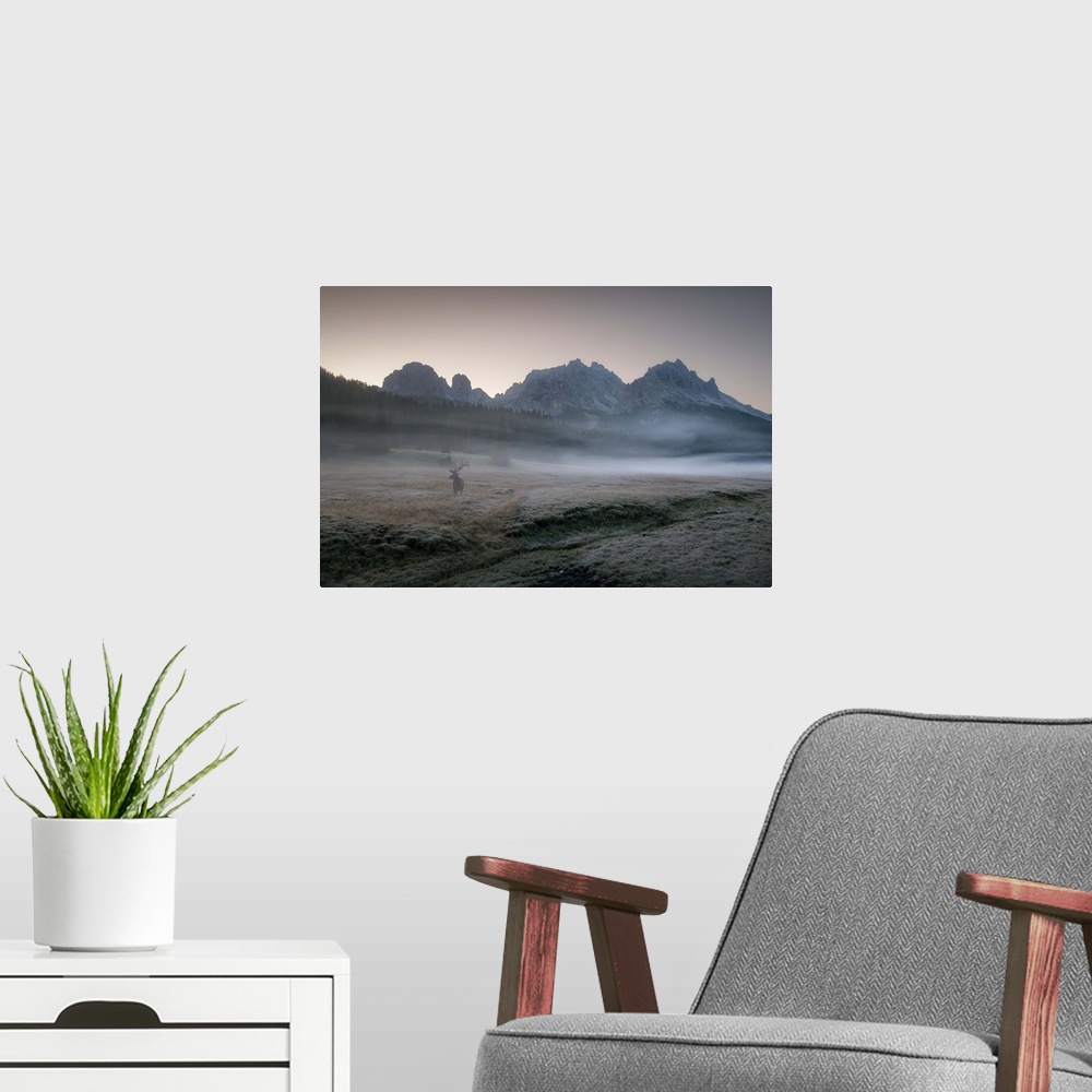 A modern room featuring An elk stands in a misty valley all alone in the morning, with towering mountains in the background.