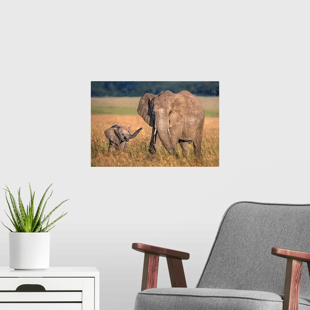 A modern room featuring Mom Elephant With Calf