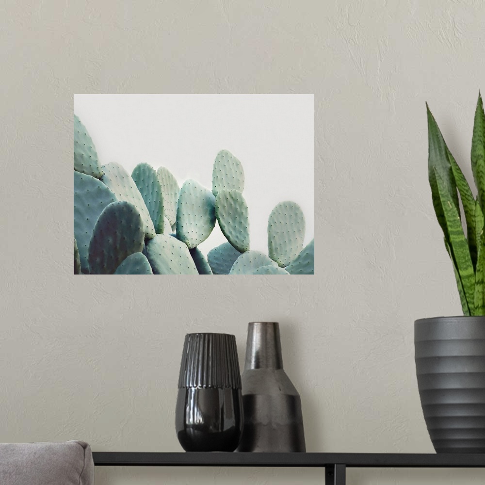 A modern room featuring Pastel Cactus