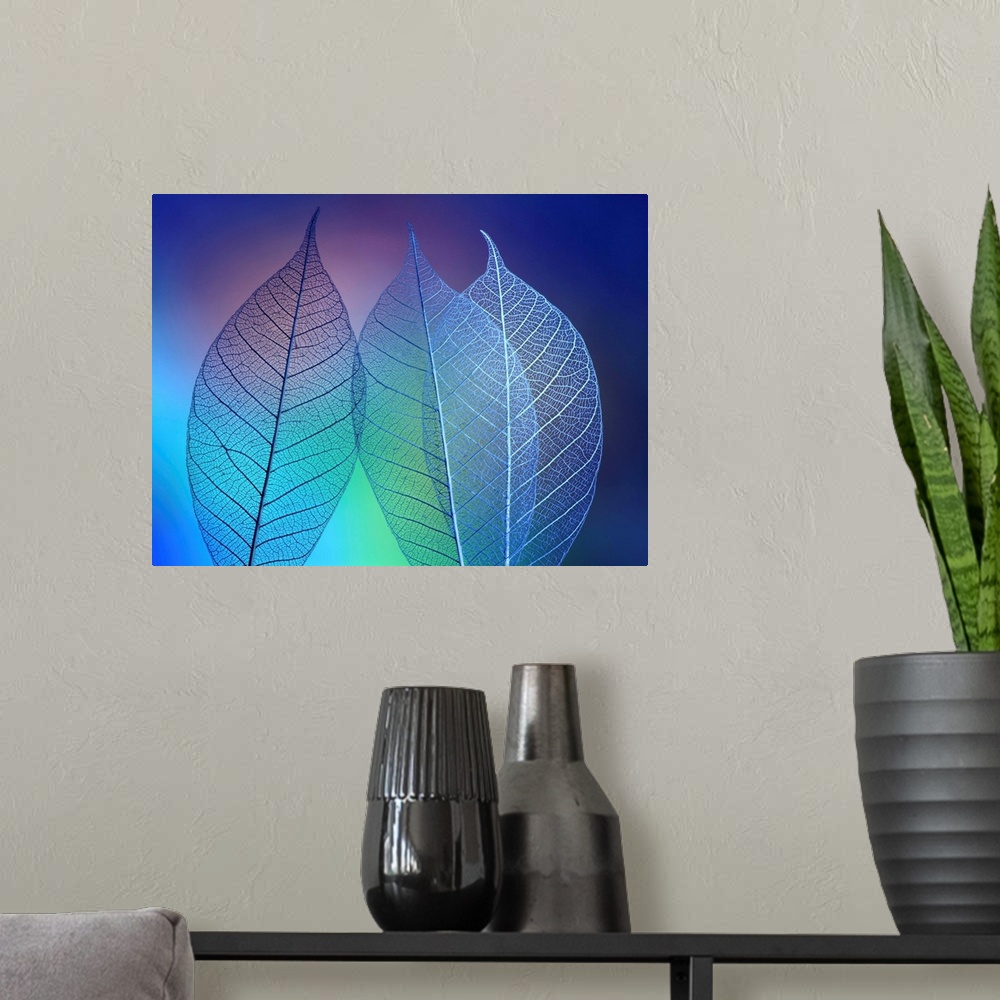A modern room featuring Prismatic Leafs