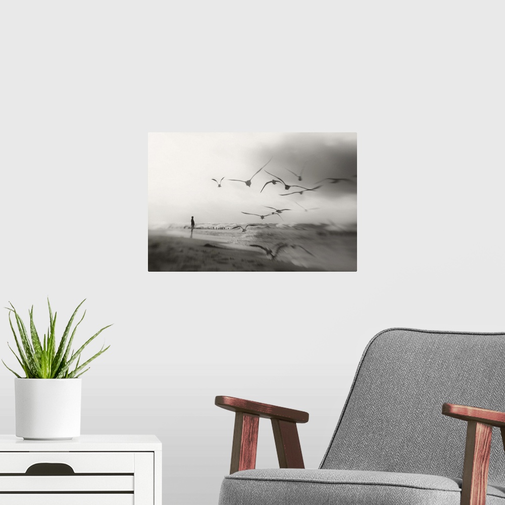 A modern room featuring A person standing on the shore with a flock of seagulls in flight.