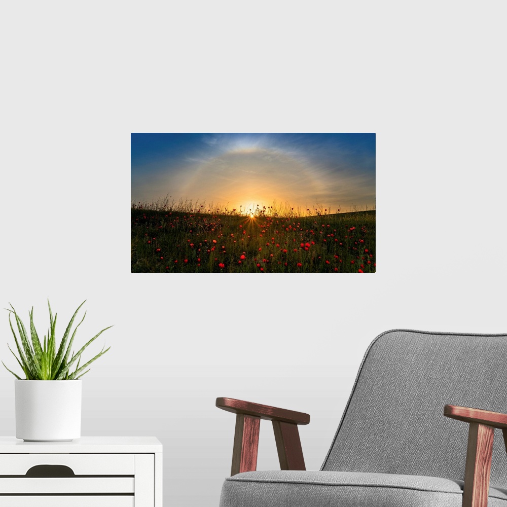 A modern room featuring Red Poppies And Sunrise