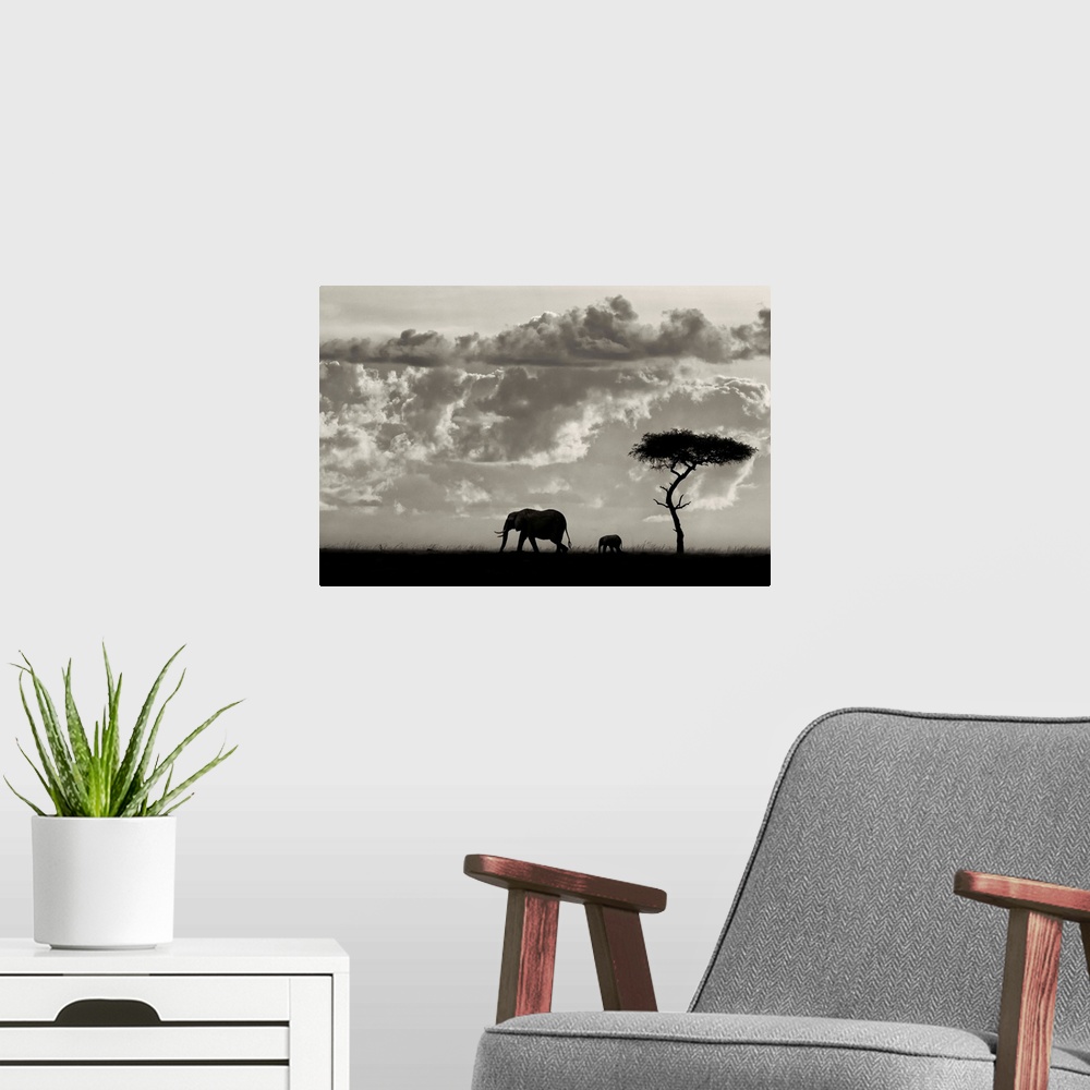 A modern room featuring An Elephant cow with her calf walk past an acacia tree against a bright dramatic African sky.