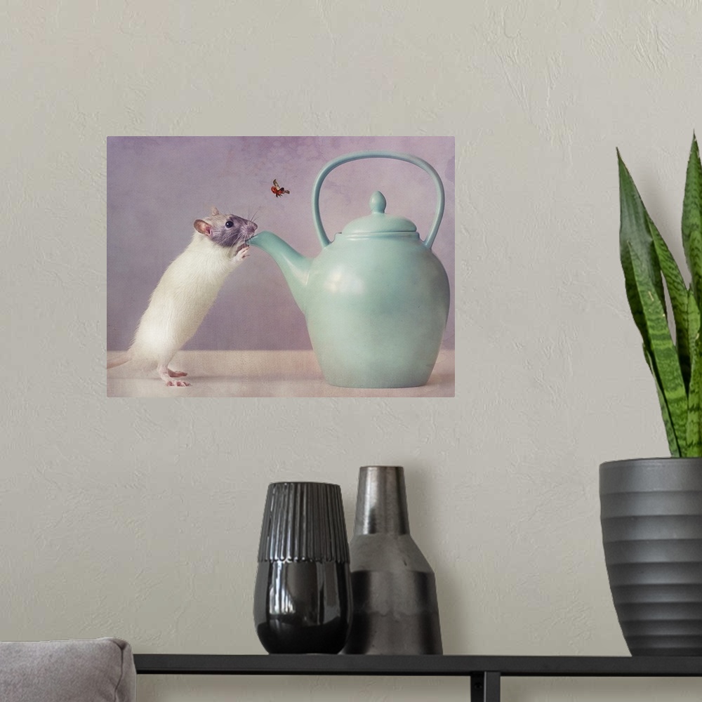 A modern room featuring Conceptual photograph of a mouse standing up to the spout of a teapot.