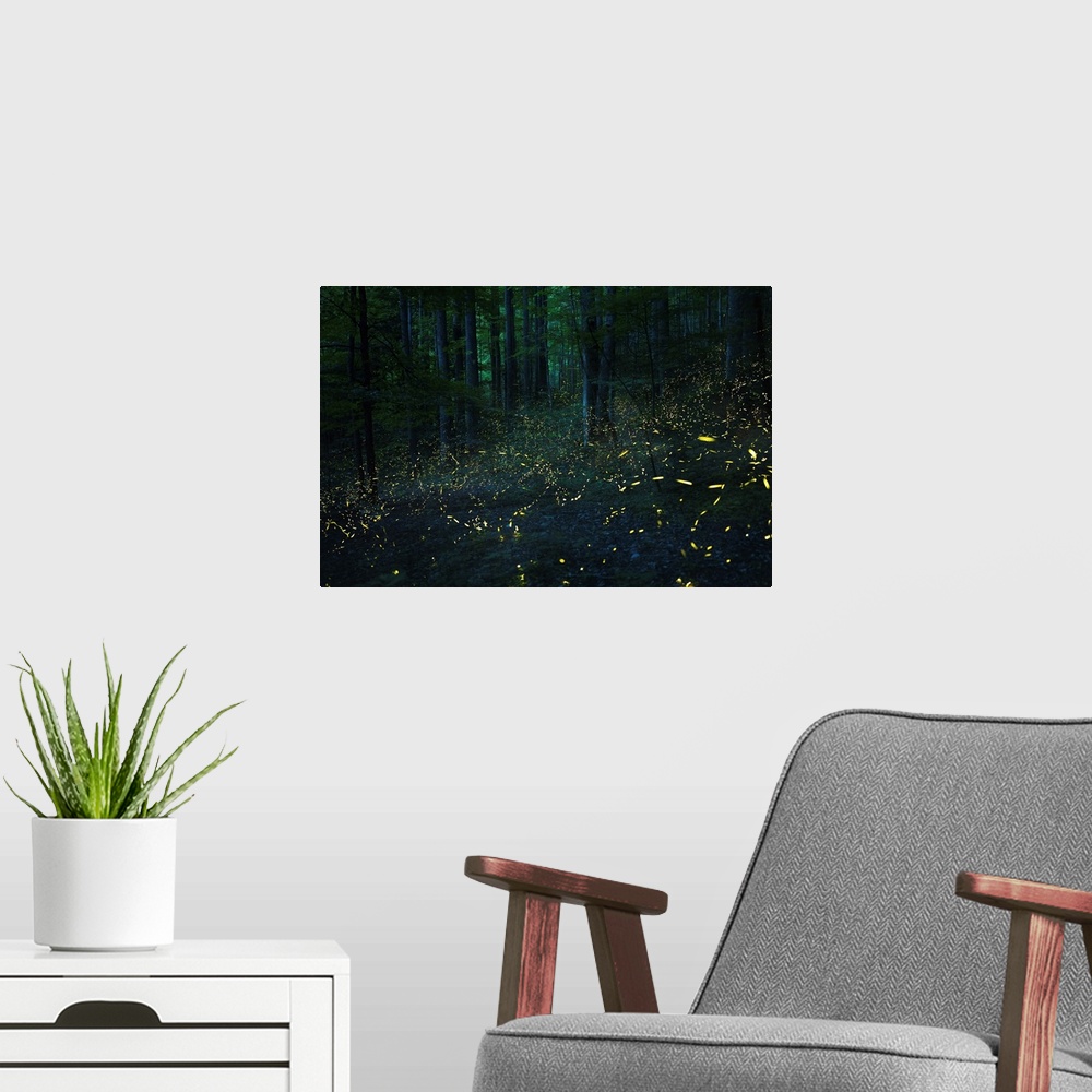 A modern room featuring Spirit Of Forest