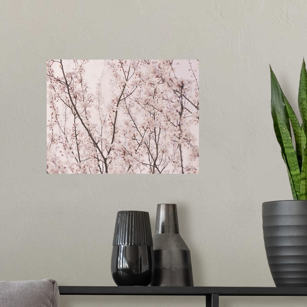 A modern room featuring Spring blossoms