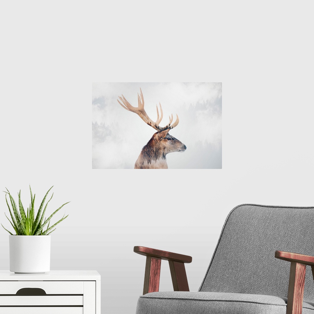 A modern room featuring Stag