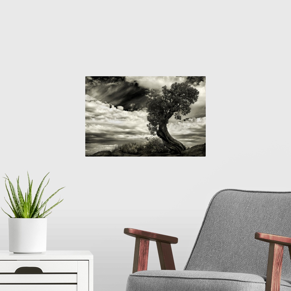 A modern room featuring Black and white image of a tree with a twisted trunk, with a cloudy sky above.