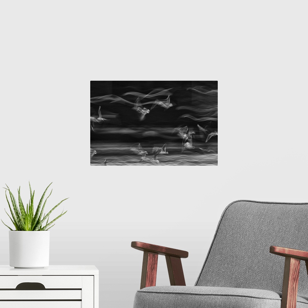 A modern room featuring Long exposure image of seagulls in flight, creating an abstract image of waves.
