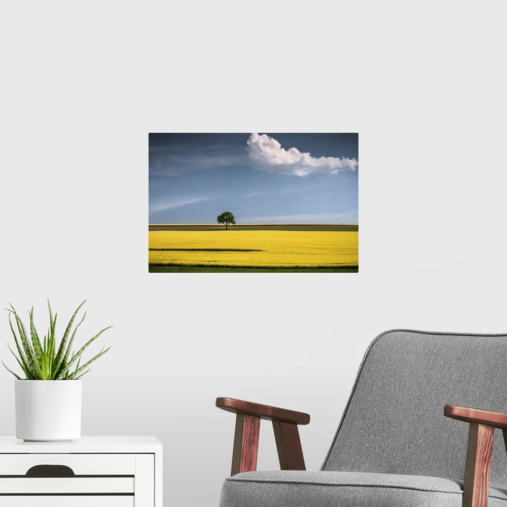 A modern room featuring A tree in the center of a bright yellow canola field with a lone cloud floating by.
