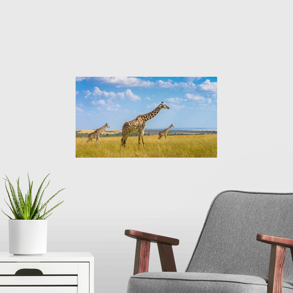 A modern room featuring Trio Giraffes