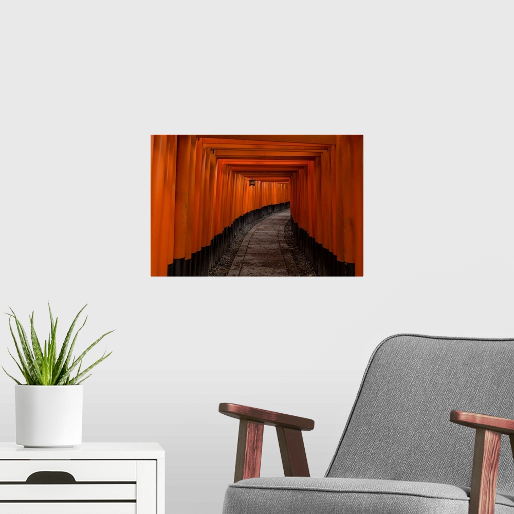 A modern room featuring Untitled
