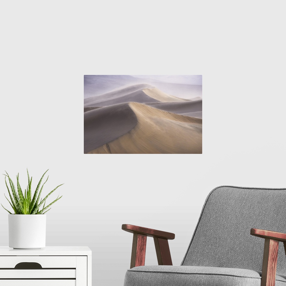 A modern room featuring Wind storm over the dunes, death valley, california