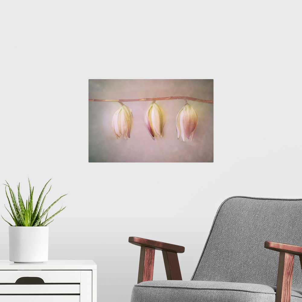 A modern room featuring Yucca-Flowers