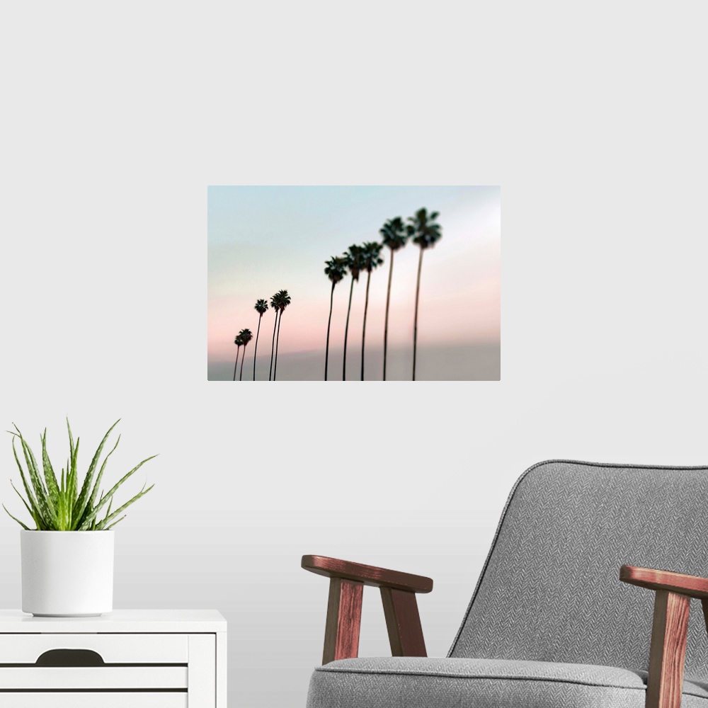 A modern room featuring Fine art photo of a row of very tall palm trees against a pastel sunset sky.