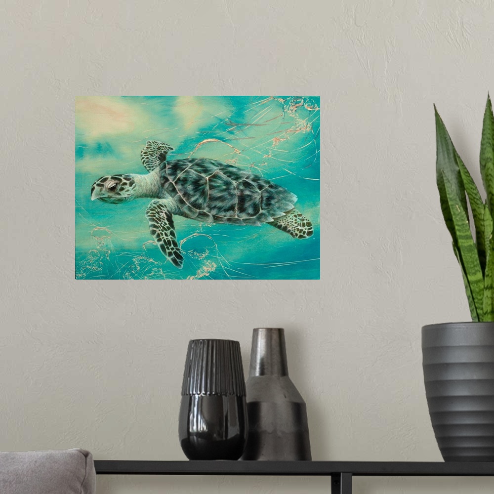 A modern room featuring Turtle III