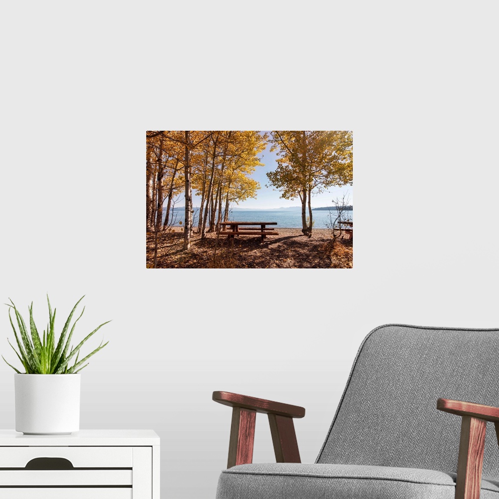 A modern room featuring Picnic Bench in autumn at Lake Tahoe, California, USA