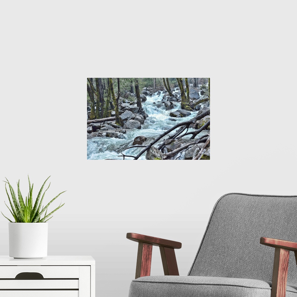 A modern room featuring Forest Falls - a river has formed in the pine forest in Yosemite National Park.