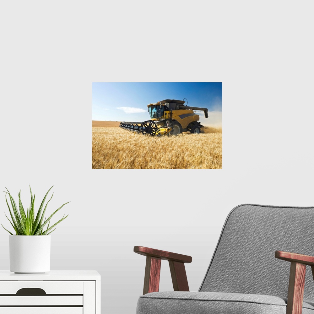 A modern room featuring A Combine Harvests Durum Wheat Near Ponteix, Saskatchewan, Canada