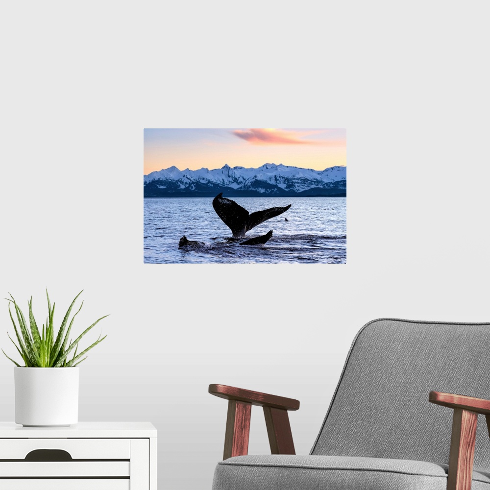 A modern room featuring A pair of Humpback Whale tails as they dive beneath the surface, Lynn Canal, Alaska