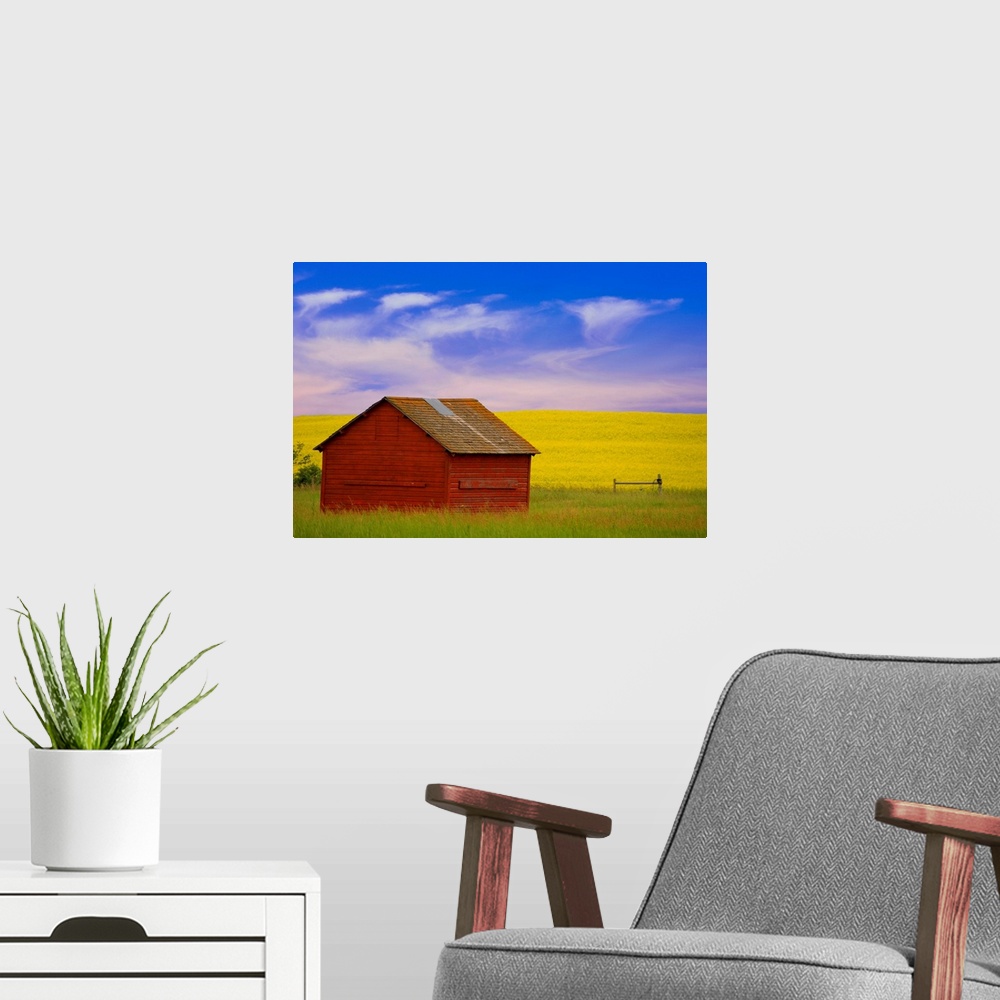 A modern room featuring A Red Farm Building Against A Canola Field
