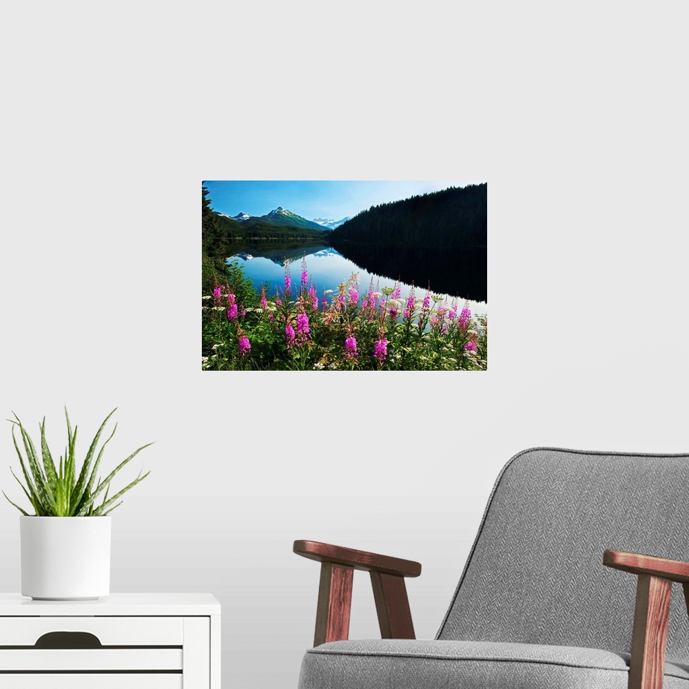A modern room featuring Auke Lake On A Clear Day With Fireweed In The Foreground, Alaska, Summer