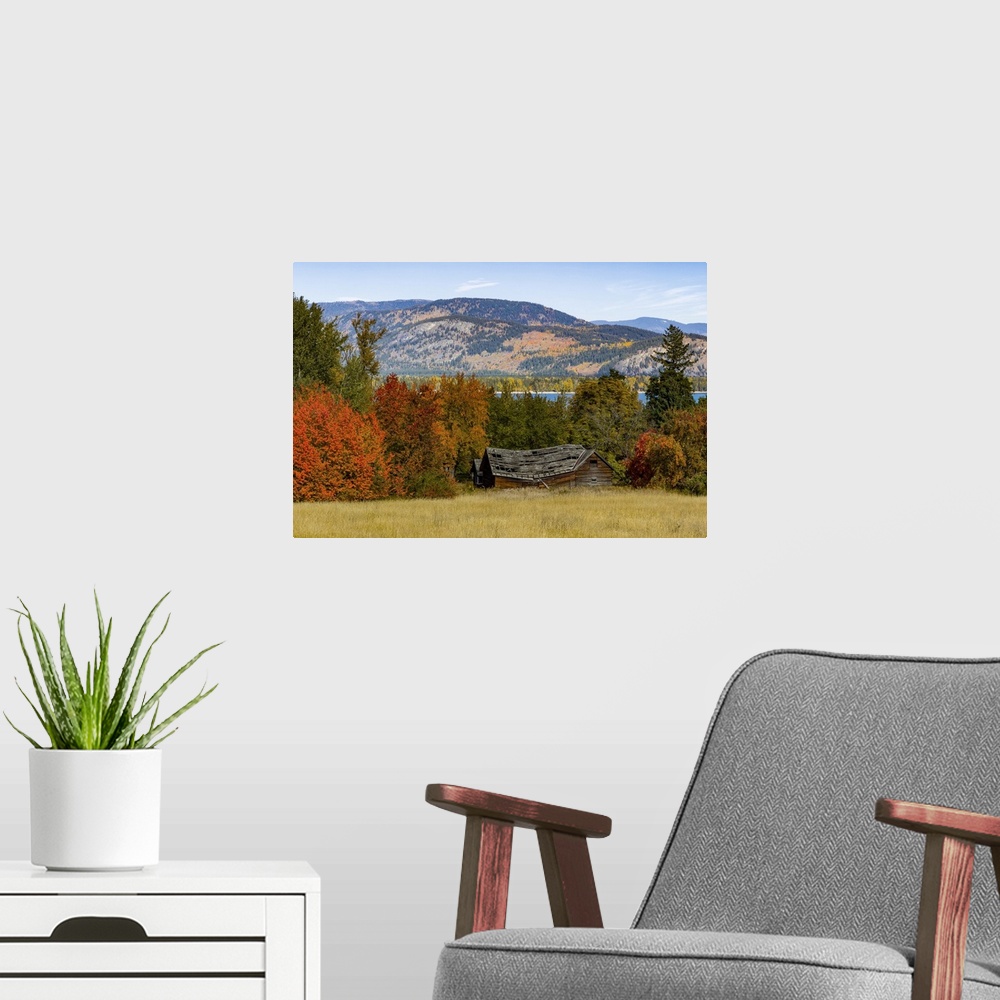 A modern room featuring Autumn coloured foliage in the Okanagan Valley; British Columbia, Canada