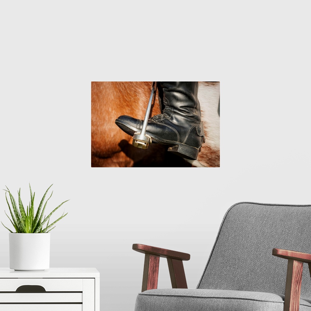 A modern room featuring Close up of a riding boot in stirrups in Baltimore County, Maryland