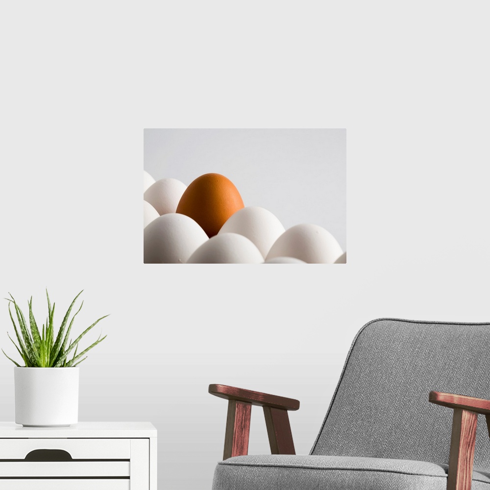 A modern room featuring Close Up Of One Brown Egg Amongst Several White Eggs