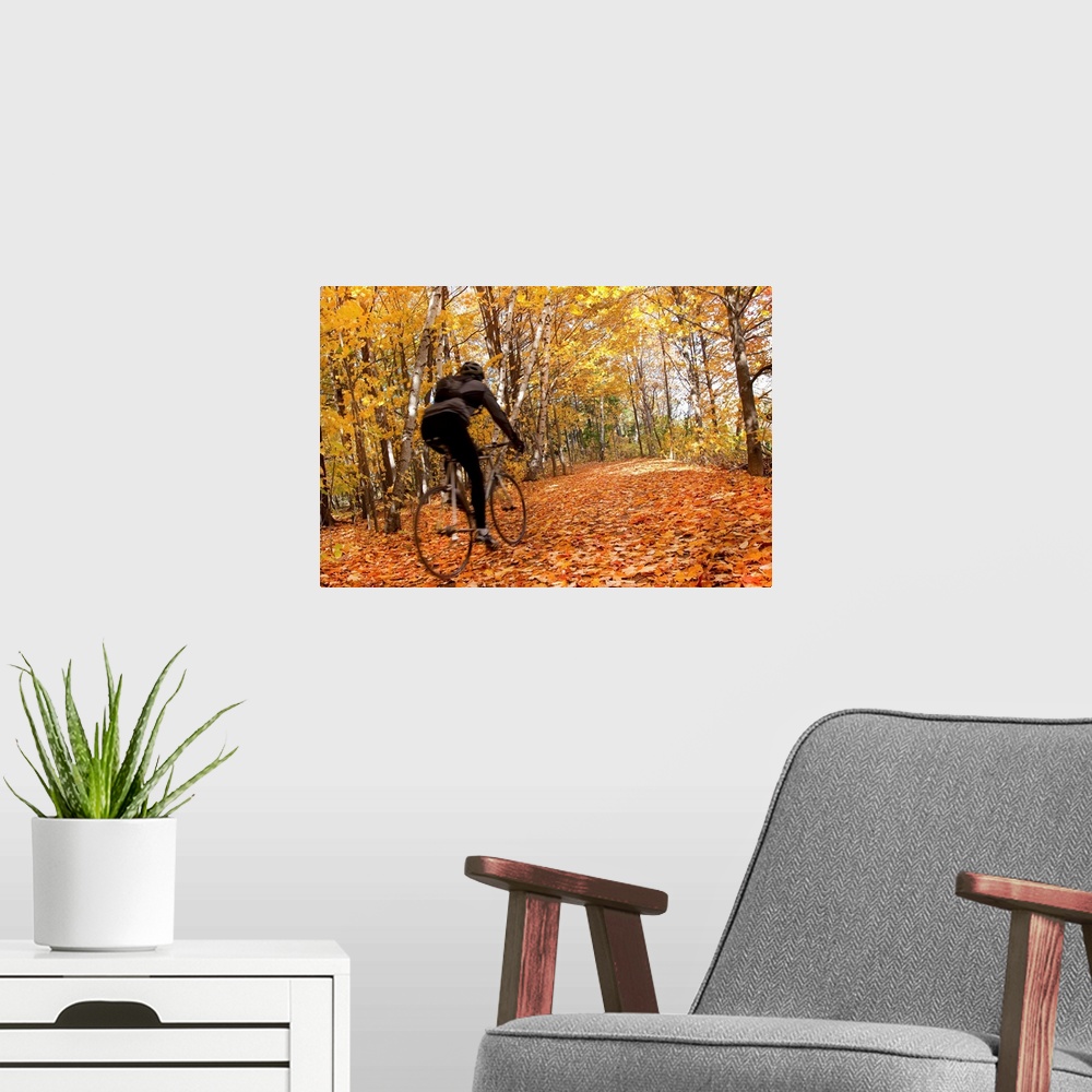 A modern room featuring Cyclist Riding In Autumn On Humber Trail, Toronto, Canada