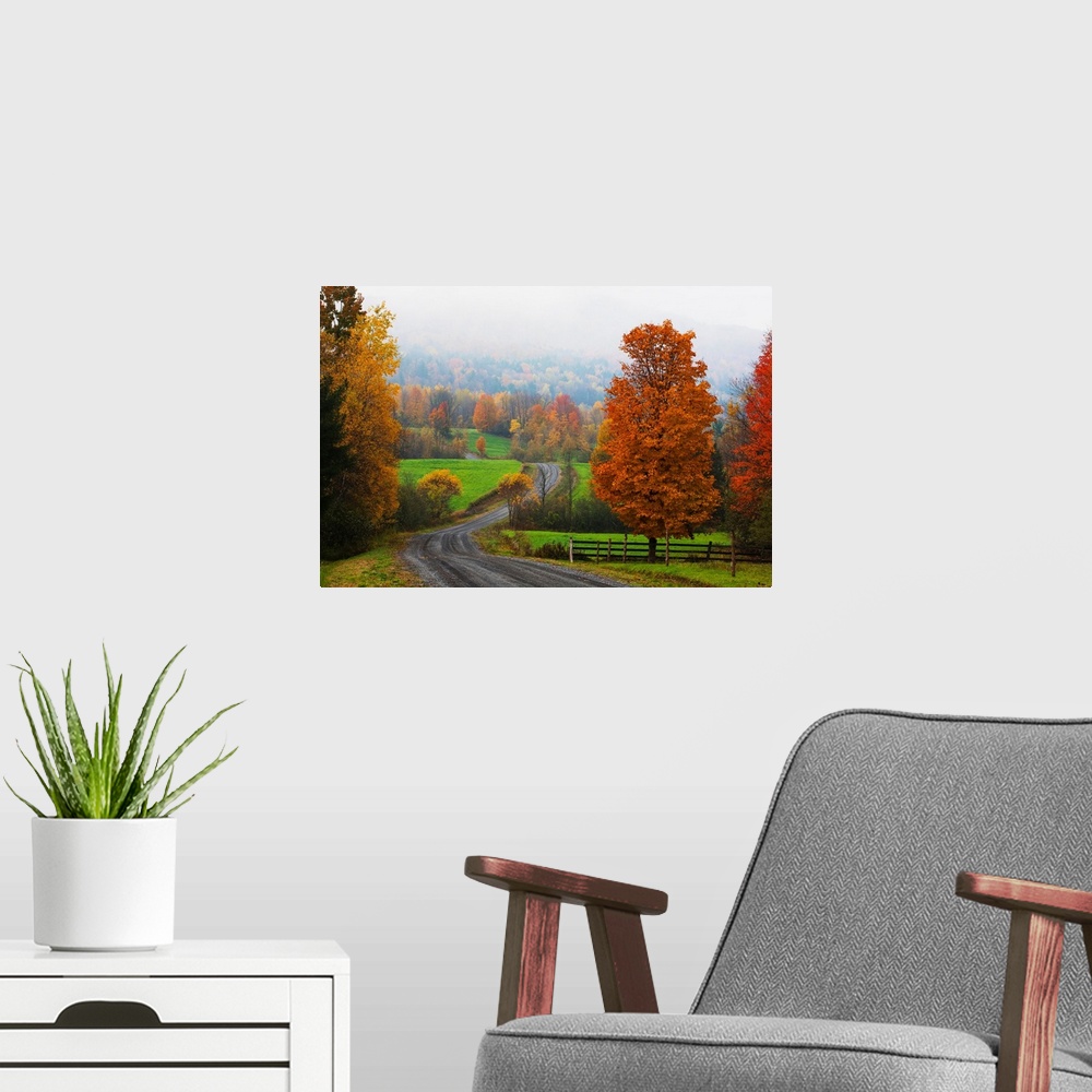 A modern room featuring Dirt Road In Autumn With Early Morning Fog, Iron Hill, Quebec, Canada