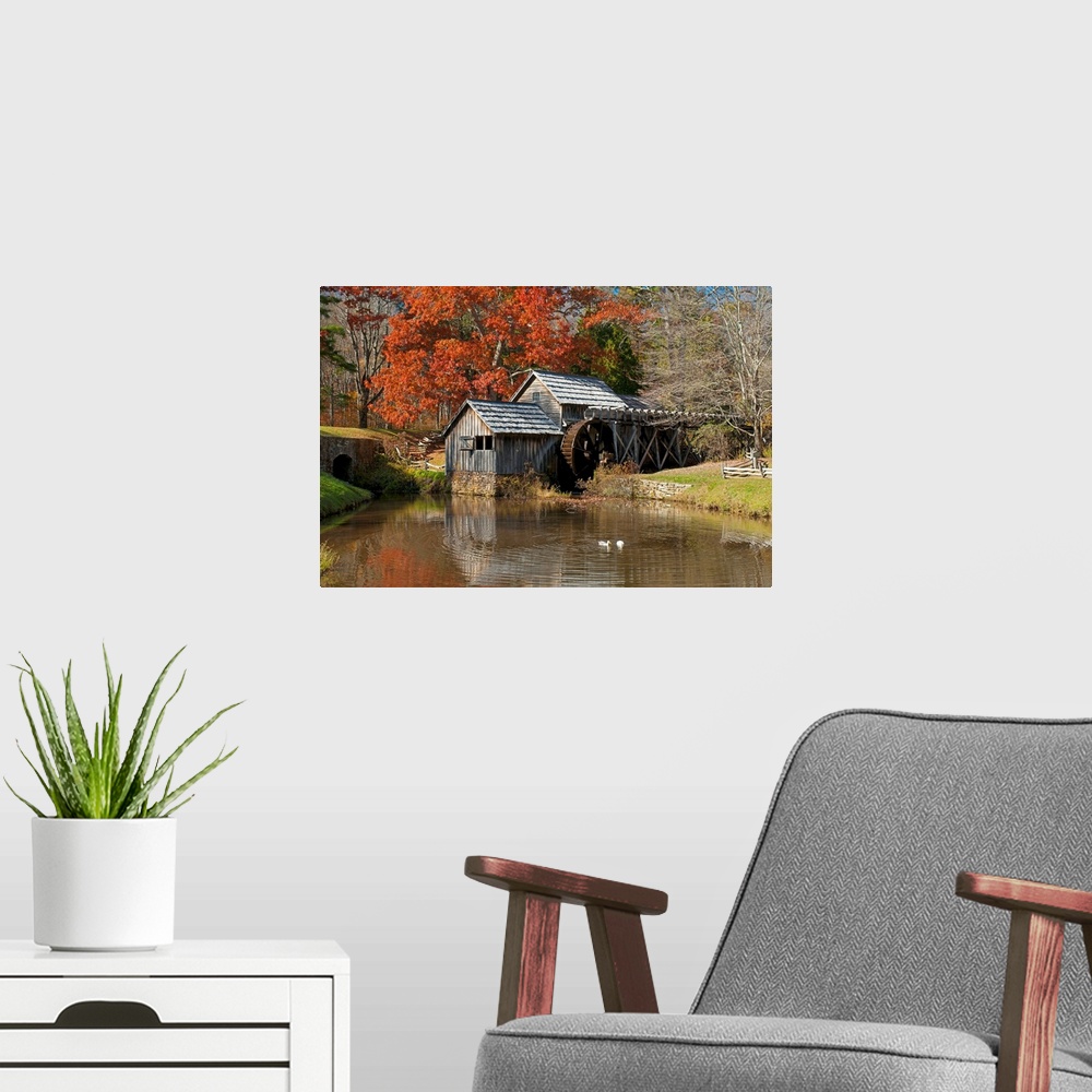 A modern room featuring Ducks swimming in a pond at an old grist mill in an autumn landscape.