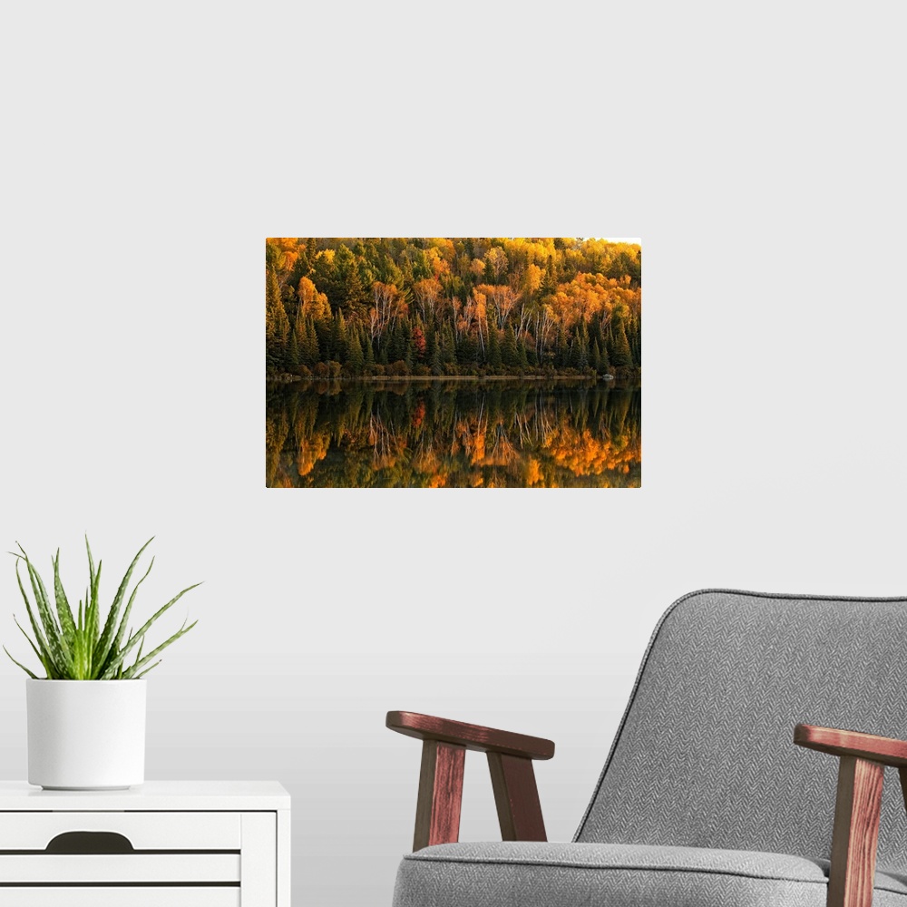 A modern room featuring Fall Colors Reflected In The Waters Of Opeongo Lake, Algonquin Park, Ontario, Canada