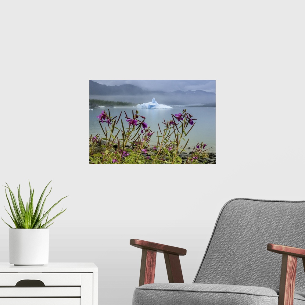 A modern room featuring Fireweed (Chamaenerion angustifolium) and sculpted blue iceberg in Bear Glacier Lagoon, Kenai Fjo...