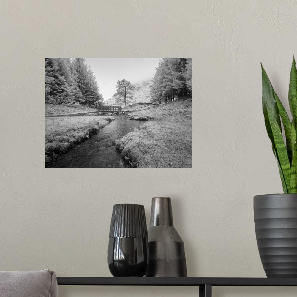 A modern room featuring An infrared image of the footbridge over Bleamoss Beck just below Blea Tarn in the Lake District ...