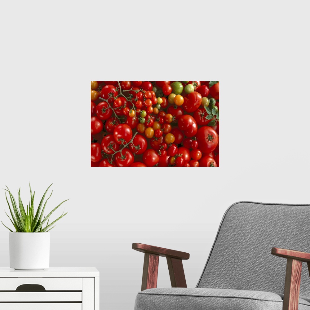 A modern room featuring Fresh market, hothouse and cherry tomatoes