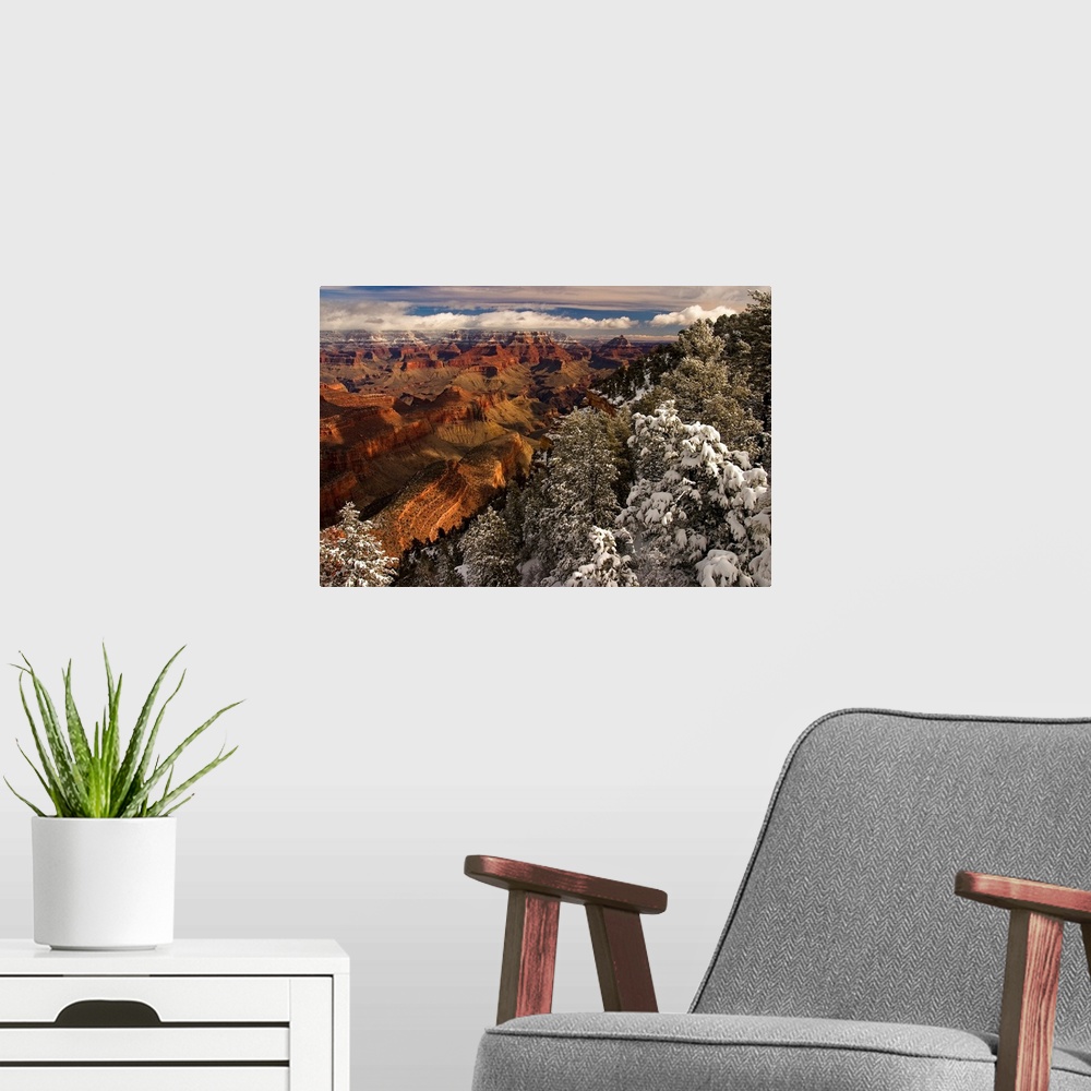 A modern room featuring From the National Geographic Collection.  Photograph of snow covered forest with gorge in the dis...