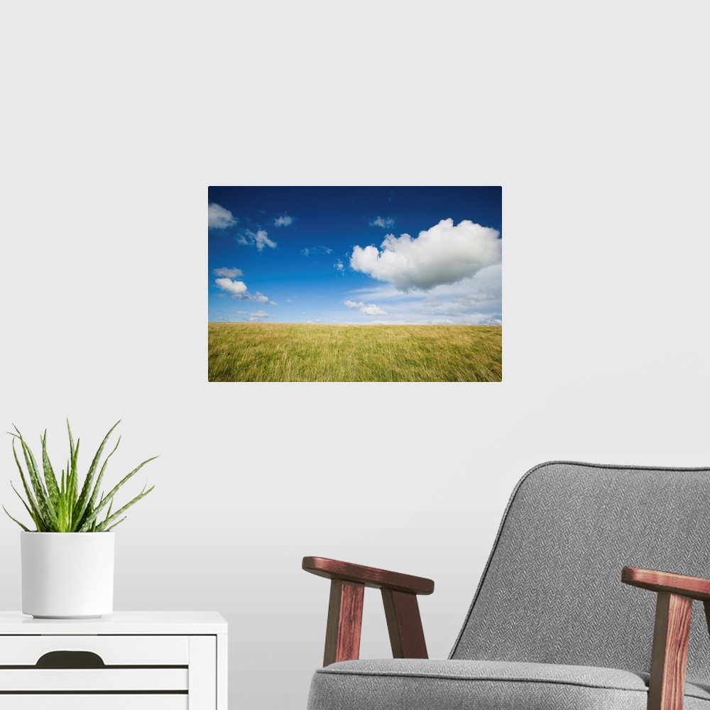 A modern room featuring Grassy Field On Hill With Blue Skies And Clouds