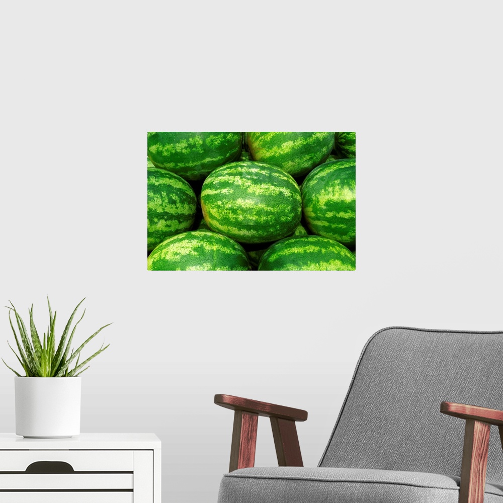 A modern room featuring Harvested mature seedless watermelons ready for shipping, Missouri