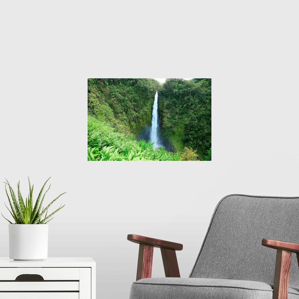 A modern room featuring Hawaii, Big Island, Akaka Falls State Park, View Of Misty Falls