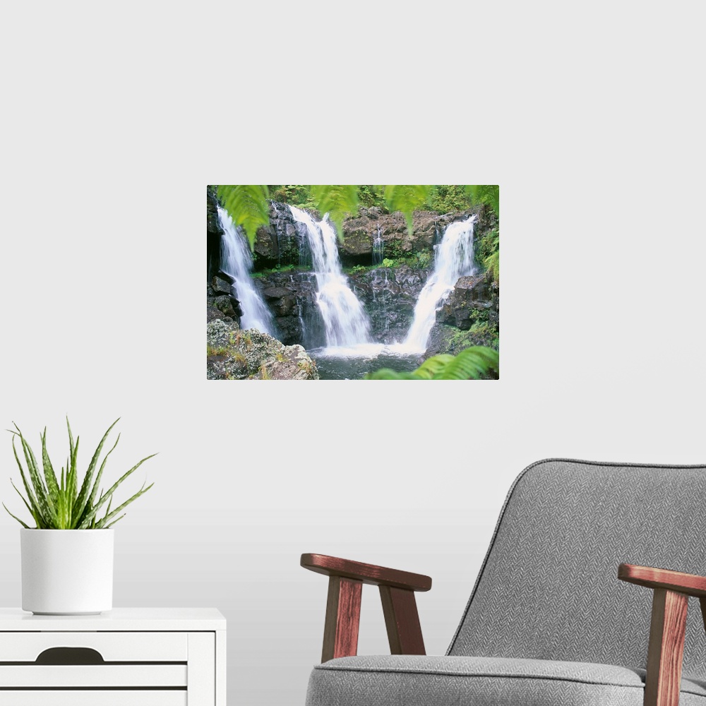A modern room featuring Hawaii, Big Island, Rainforest Waterfalls, Three Waterfalls Feed