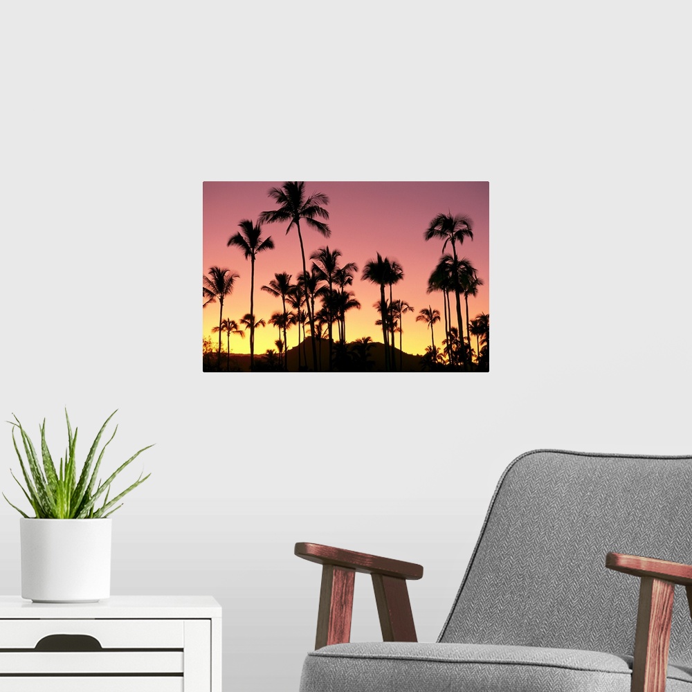 A modern room featuring Hawaii, Kauai, Sleeping Giant And Coconut Grove At Sunset