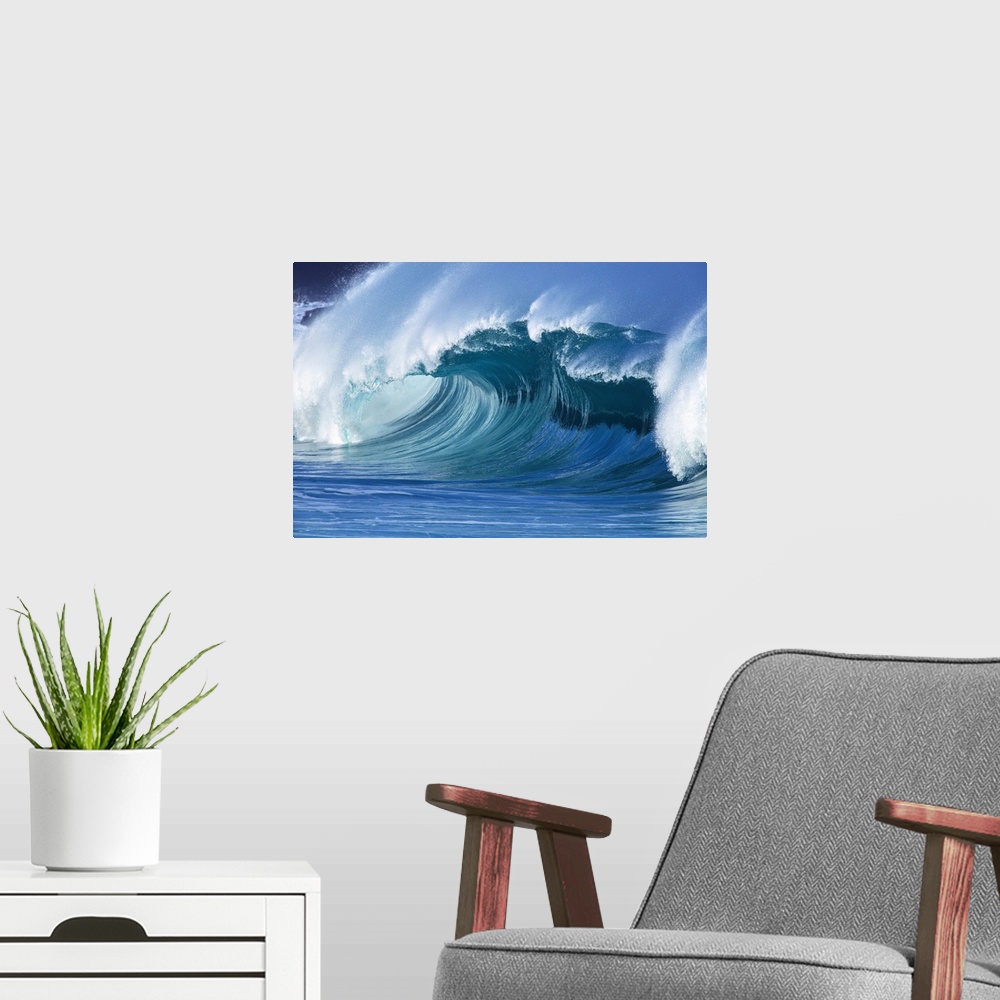 A modern room featuring Hawaii, Large Wave Curling