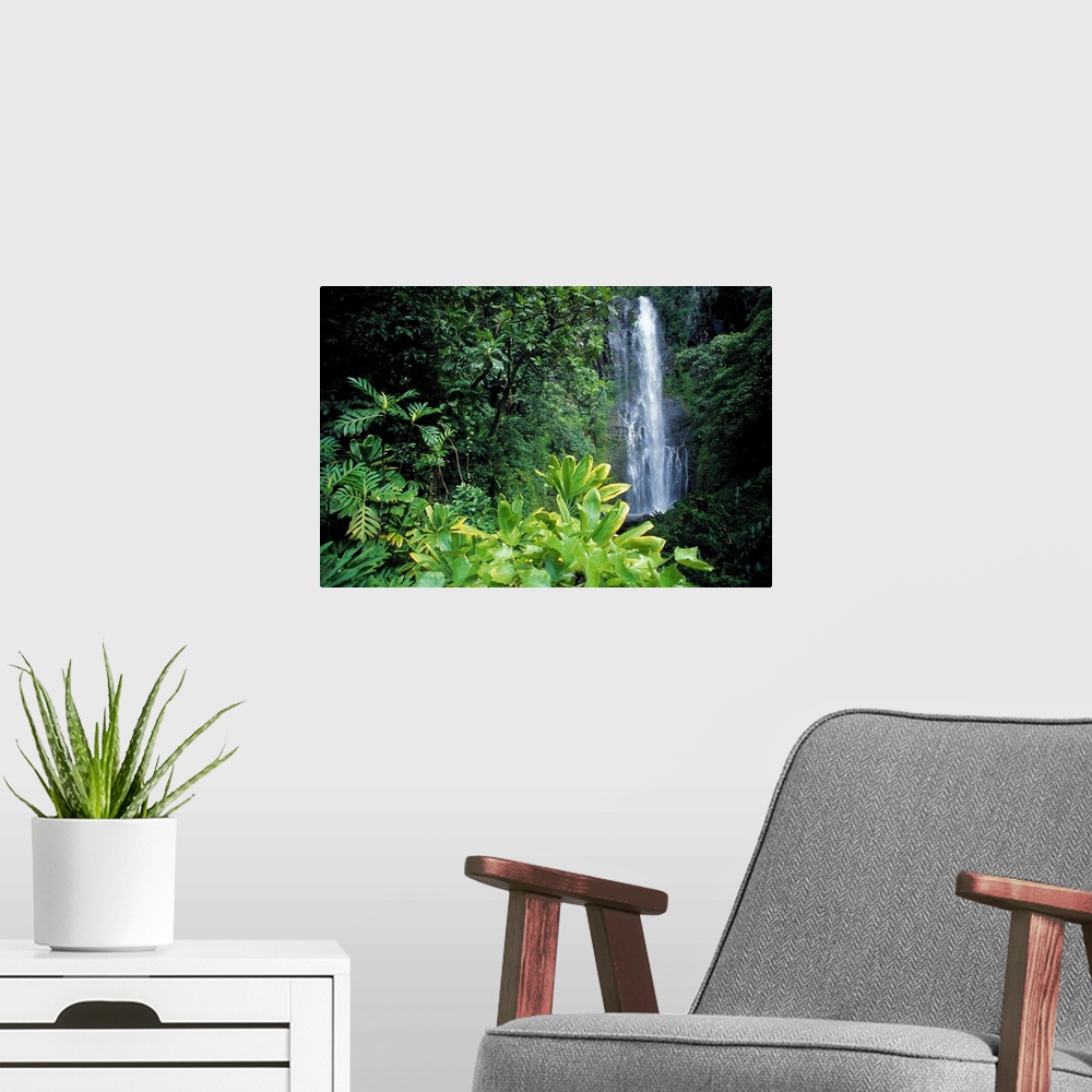 A modern room featuring Hawaii, Maui, Hana, Wailea Falls, Surrounded By Lush Greenery