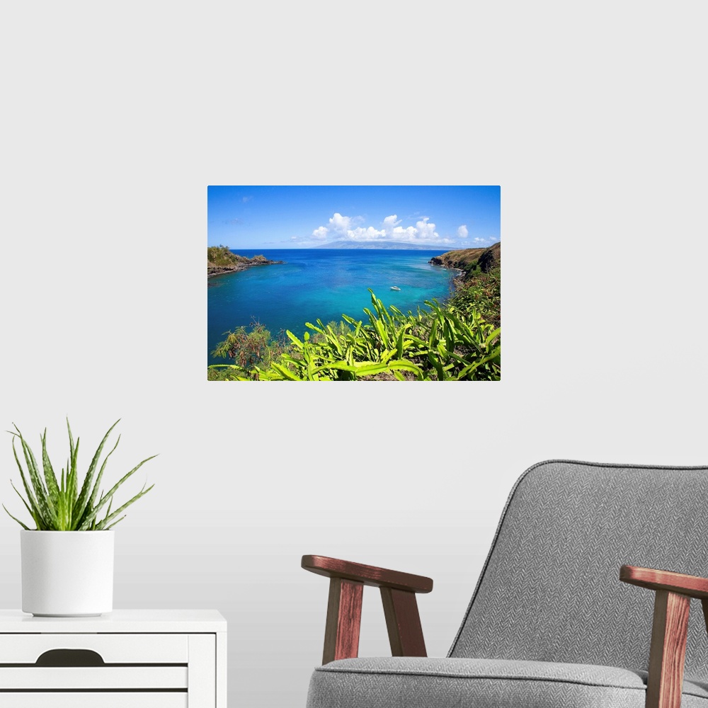 A modern room featuring Hawaii, Maui, Honolua Bay, Green Brush Overlooking Bright Blue Water